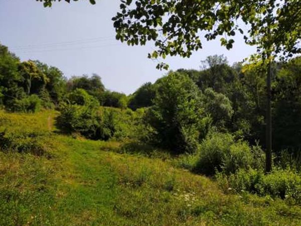 terreno agricolo in vendita a San Zenone degli Ezzelini