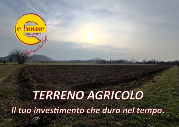 terreno agricolo in vendita a San Zenone degli Ezzelini