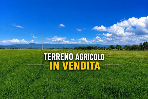 terreno agricolo in vendita a San Zenone degli Ezzelini in zona Sopracastello