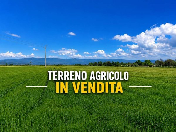 terreno agricolo in vendita a San Zenone degli Ezzelini
