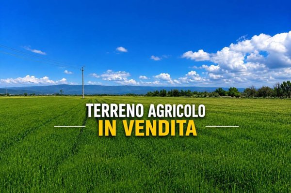 terreno agricolo in vendita a San Zenone degli Ezzelini