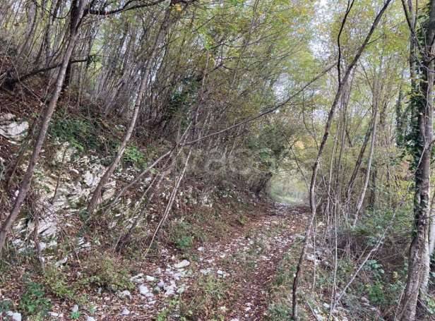 terreno agricolo in vendita a Segusino