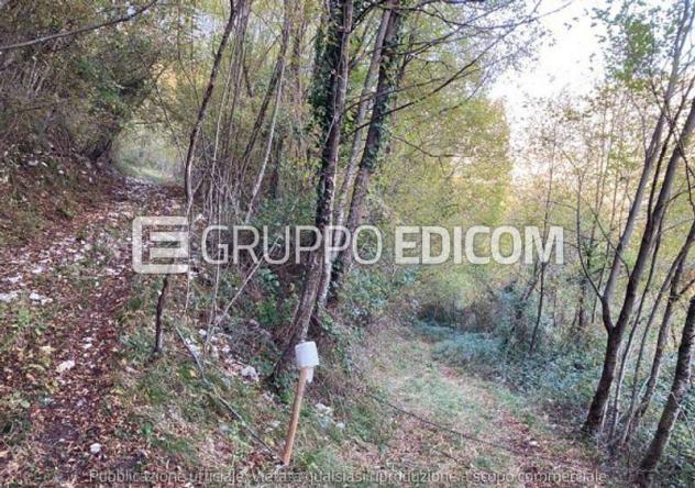 terreno agricolo in vendita a Segusino