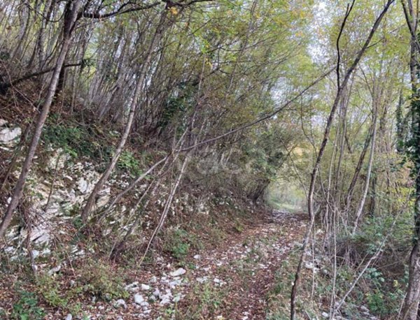 terreno edificabile in vendita a Segusino