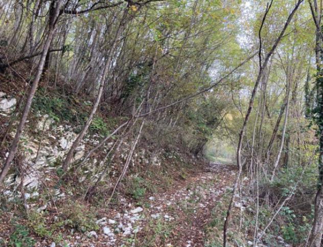 terreno edificabile in vendita a Segusino