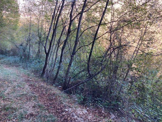 terreno agricolo in vendita a Segusino in zona Stramare