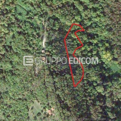 terreno agricolo in vendita a Segusino