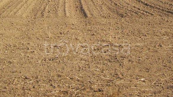 terreno agricolo in vendita a Sernaglia della Battaglia