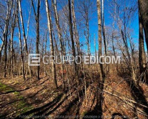 terreno agricolo in vendita a Sernaglia della Battaglia