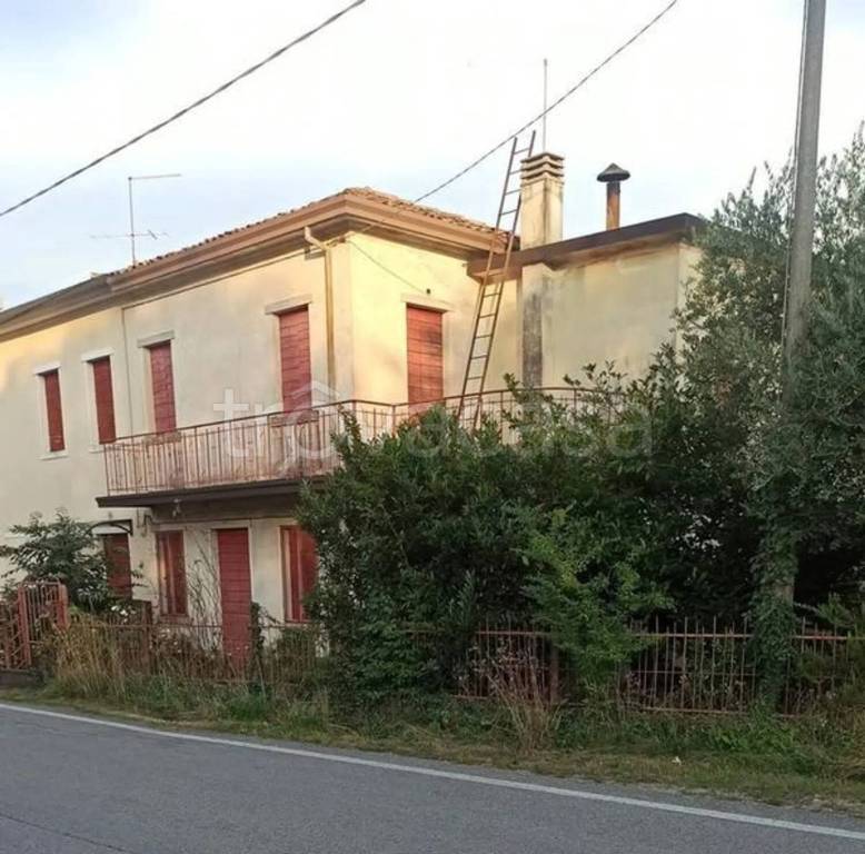casa indipendente in vendita a Sernaglia della Battaglia in zona Falzè di Piave