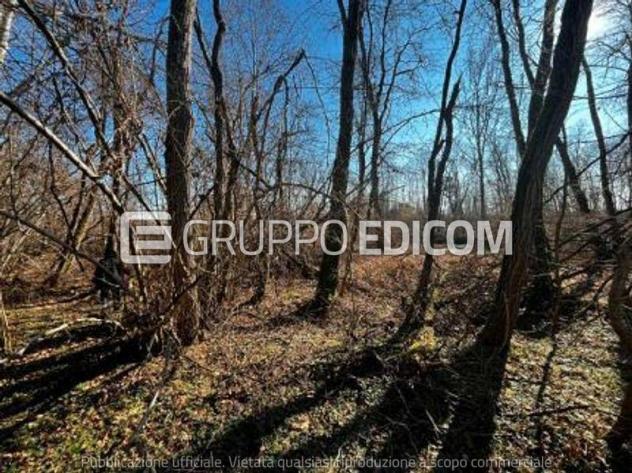 terreno agricolo in vendita a Sernaglia della Battaglia