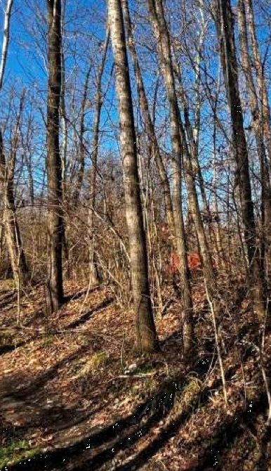 terreno agricolo in vendita a Sernaglia della Battaglia