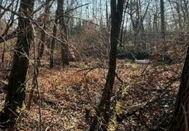 terreno agricolo in vendita a Sernaglia della Battaglia