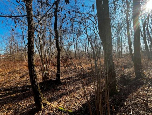 terreno agricolo in vendita a Sernaglia della Battaglia