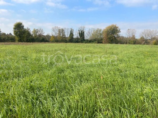 terreno agricolo in vendita a Silea in zona Sant'Elena