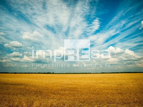 terreno agricolo in vendita a Silea in zona Sant'Elena