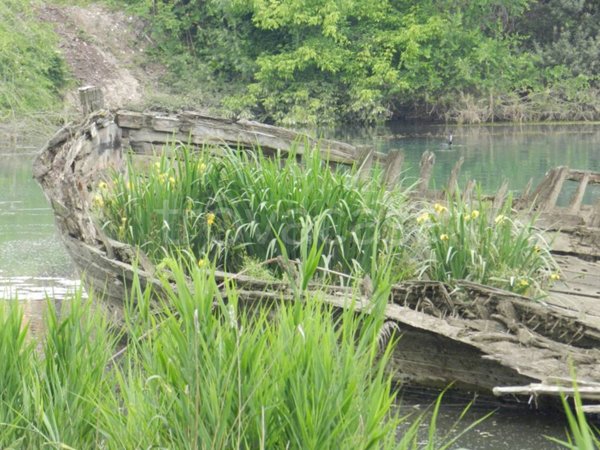 appartamento in vendita a Silea