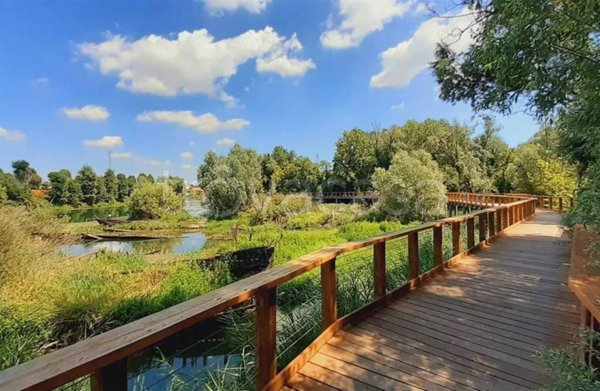 appartamento in vendita a Silea