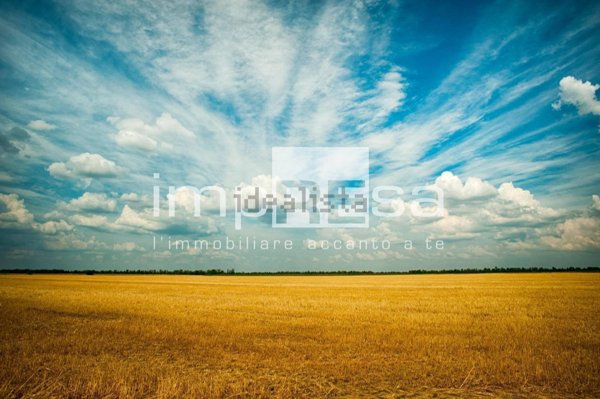 terreno agricolo in vendita a Silea in zona Sant'Elena