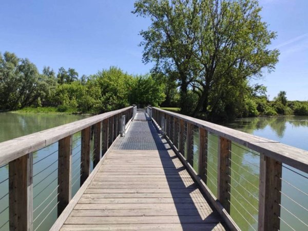 appartamento in vendita a Silea