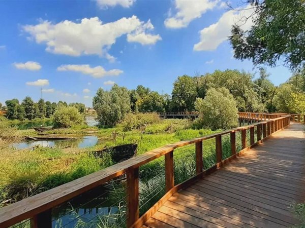 appartamento in vendita a Silea