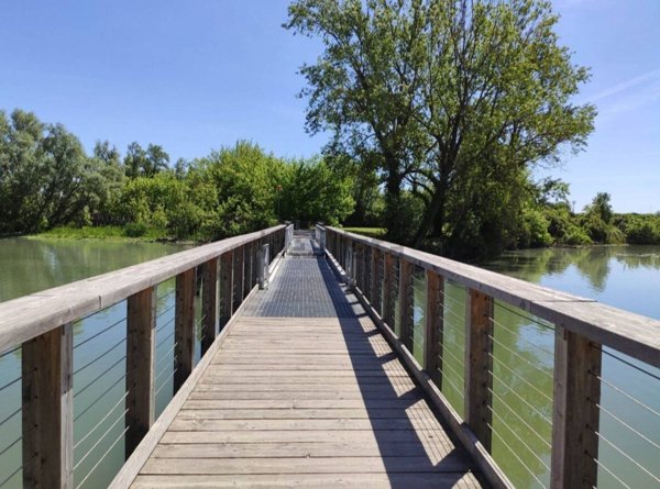 appartamento in vendita a Silea