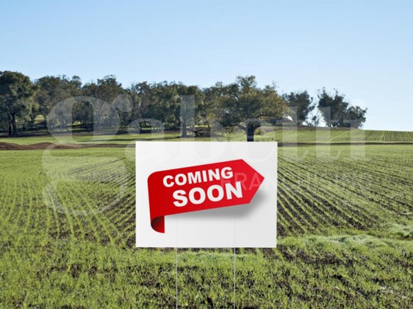 terreno agricolo in vendita a Silea