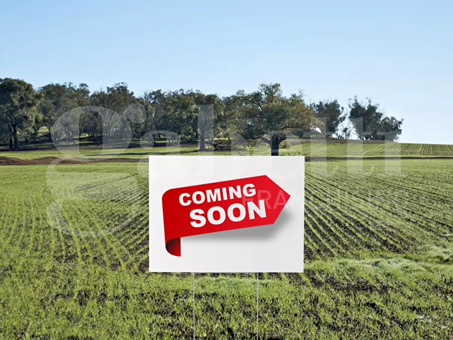 terreno agricolo in vendita a Silea