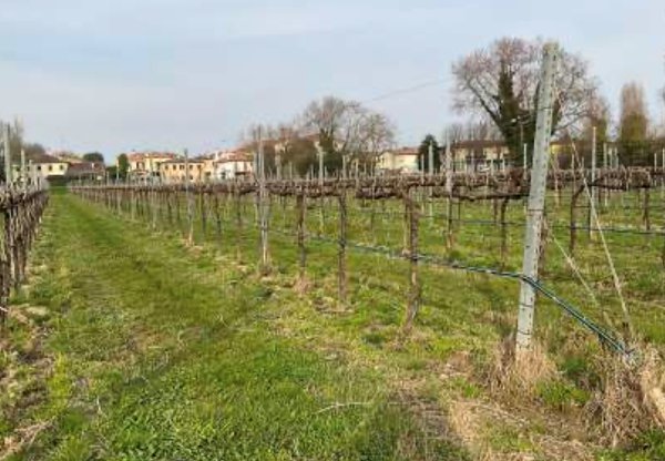 ufficio in vendita a Silea in zona Cendon