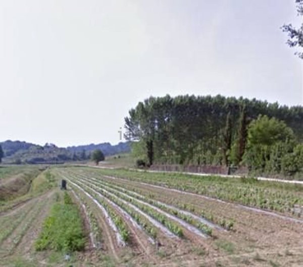 terreno agricolo in vendita a Silea in zona Cendon