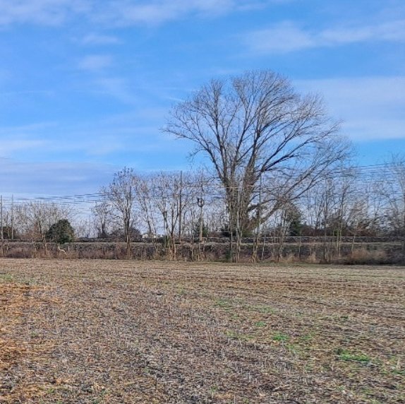terreno agricolo in vendita a Spresiano
