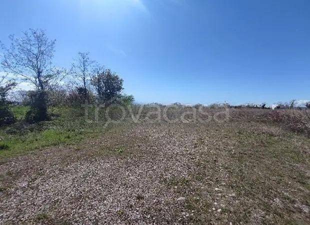 terreno agricolo in vendita a Spresiano
