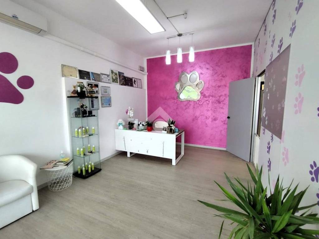 negozio in vendita a Susegana
