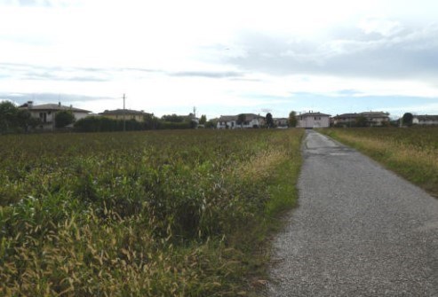 terreno agricolo in vendita a Susegana in zona Ponte della Priula