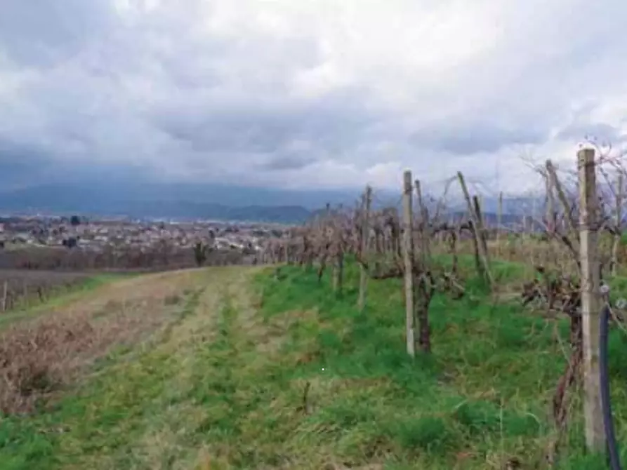 casale in vendita a Susegana