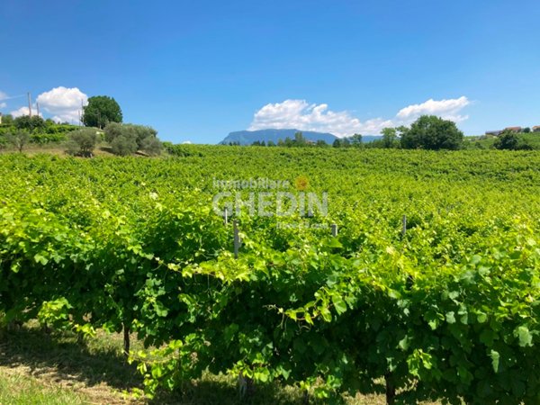 terreno agricolo in vendita a Susegana in zona Crevada