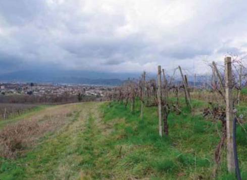 casale in vendita a Susegana in zona Collalto