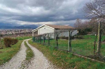 casale in vendita a Susegana in zona Collalto