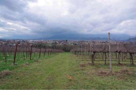 pentavano in vendita a Susegana in zona Collalto