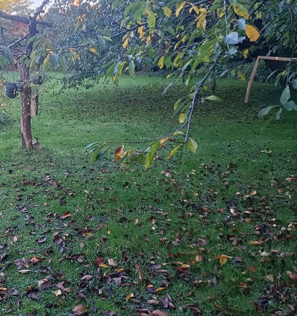 casa indipendente in vendita a Susegana