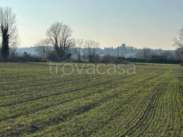 azienda agricola in vendita a Susegana