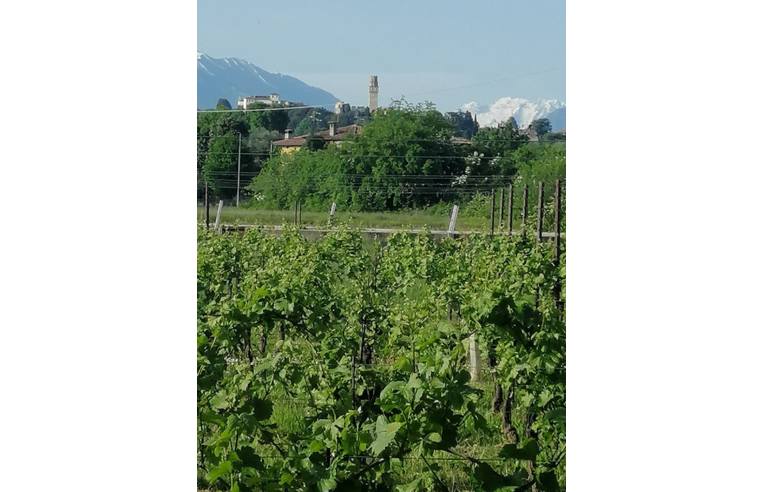 villa in vendita a Susegana in zona Colfosco