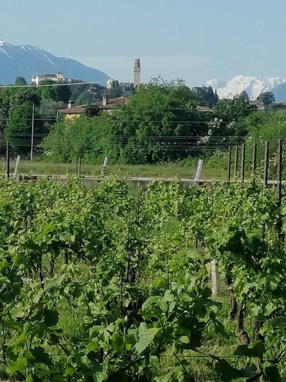 villa in vendita a Susegana in zona Colfosco