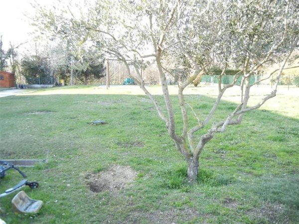 casa indipendente in vendita a Susegana