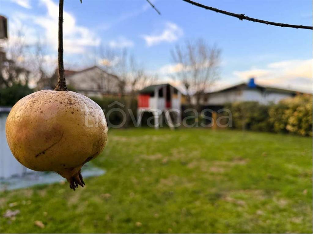 casa indipendente in vendita a Susegana in zona Ponte della Priula