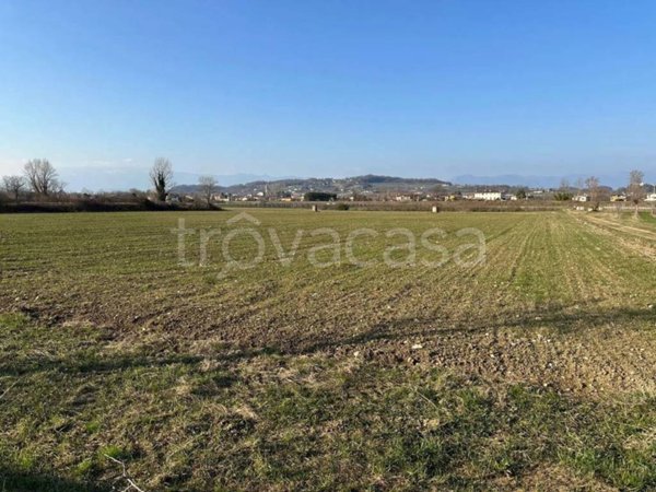 terreno agricolo in vendita a Susegana