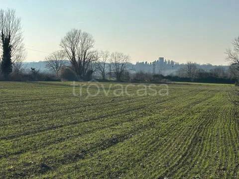 terreno agricolo in vendita a Susegana