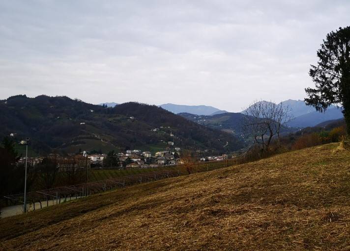 casa indipendente in vendita a Tarzo