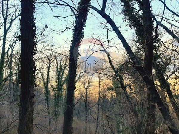 terreno agricolo in vendita a Tarzo in zona Arfanta