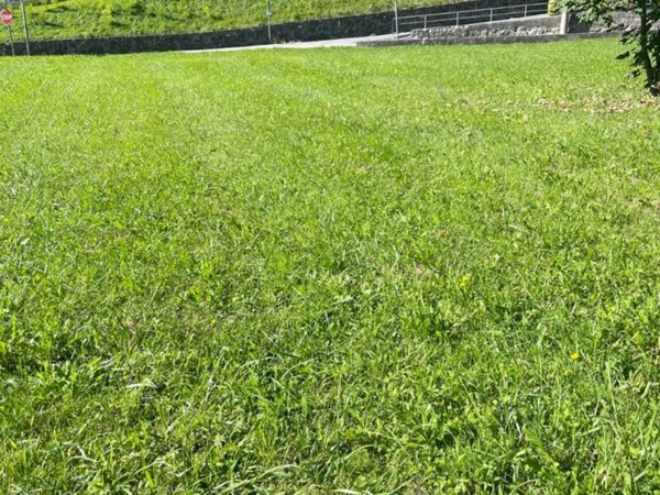 terreno edificabile in vendita a Tarzo